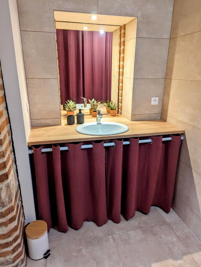Apartamento Douceur, Elegance Au Coeur D'Albi Exterior foto